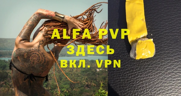 сатива Алексин