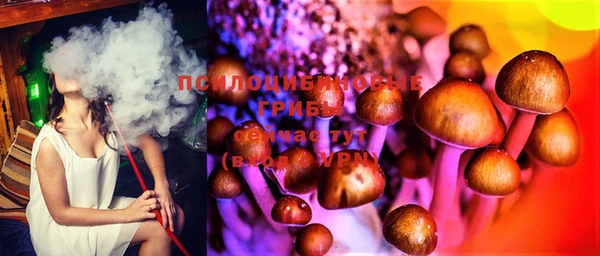 дживик Алексеевка