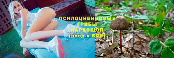 скорость Алзамай
