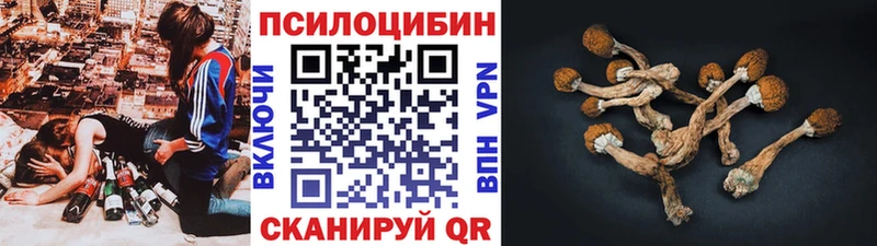 мега маркетплейс  Катав-Ивановск  Псилоцибиновые грибы Magic Shrooms 
