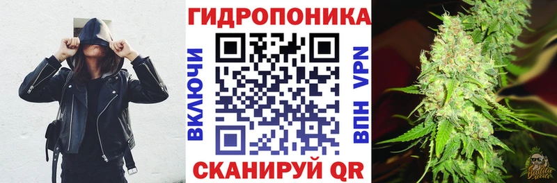 Бошки марихуана планчик  Катав-Ивановск 